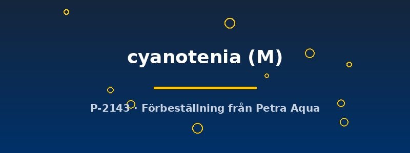 petra-ph2-177141 petra-ph2-177141