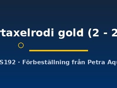 herbertaxelrodi gold (2 - 2,5 cm)