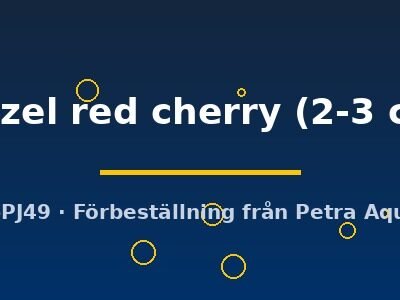 muzel red cherry (2-3 cm)