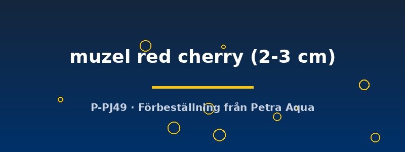 petra-ph2-177172 petra-ph2-177172