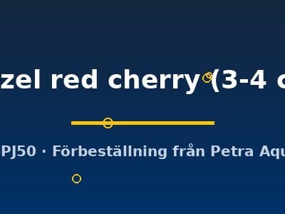 muzel red cherry (3-4 cm)