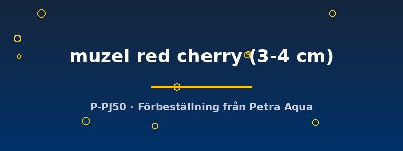 petra-ph2-177173 petra-ph2-177173