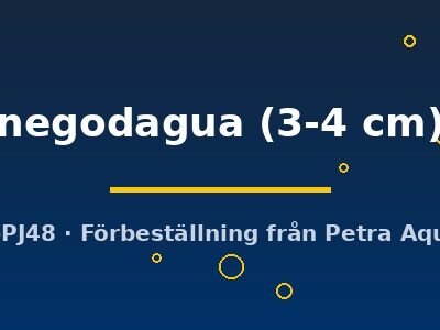 negodagua (3-4 cm)