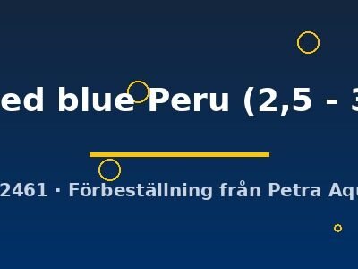sp . red blue Peru (2,5 - 3 cm)