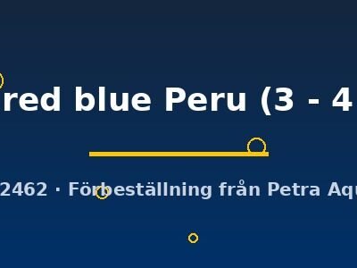 sp . red blue Peru (3 - 4 cm)