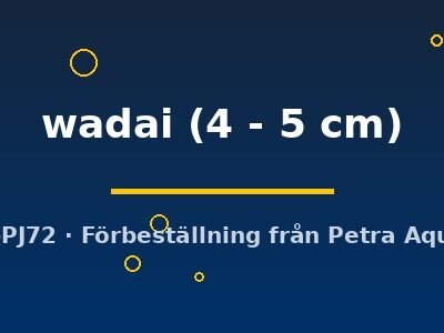 wadai (4 - 5 cm)