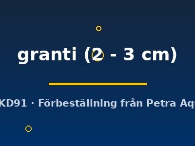 granti (2 - 3 cm)