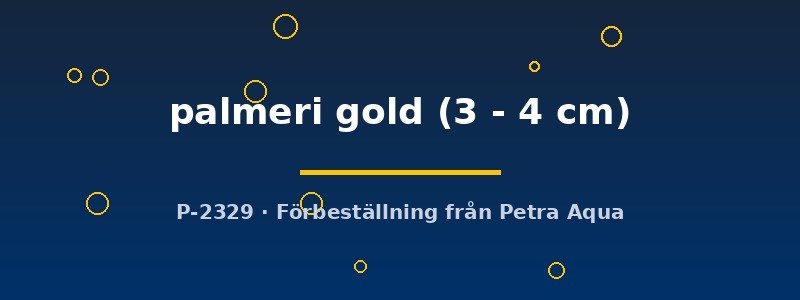 petra-ph2-177316 petra-ph2-177316
