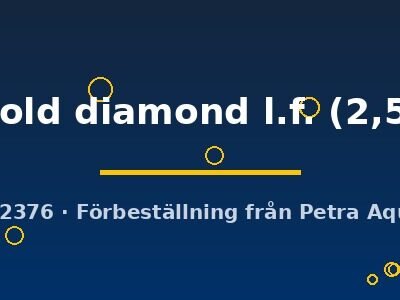 innesi gold diamond l.f. (2,5 - 3 cm)
