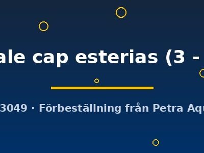 Aphyosemion australe cap esterias 3–4 cm