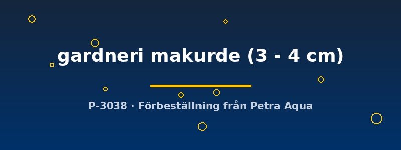 petra-ph2-177456 petra-ph2-177456