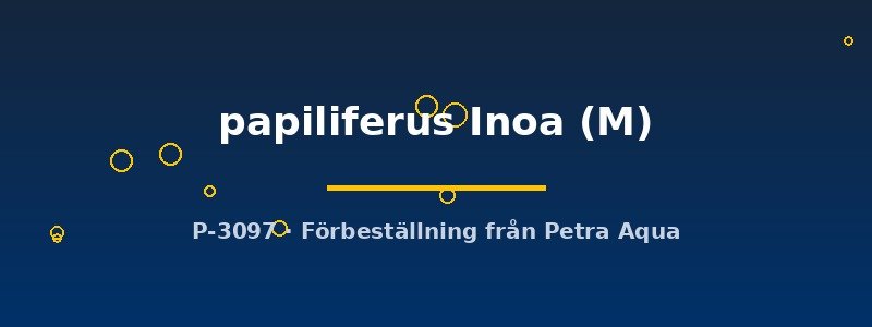 petra-ph2-177516 petra-ph2-177516