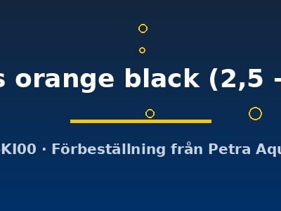 latipes orange black (2,5 - 3 cm)