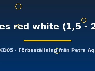 latipes red white (1,5 - 2 cm)