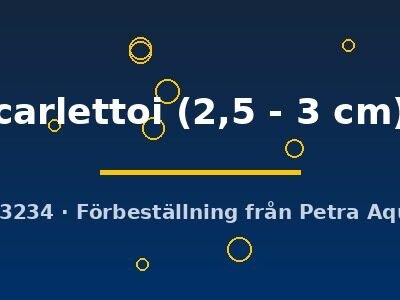 carlettoi (2,5 - 3 cm)