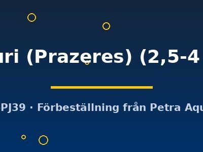 Sympsohichtys faouri (Prazeres) 2,5–4 cm