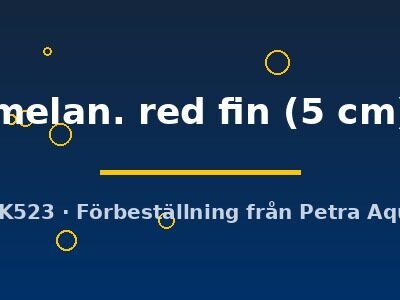 melan. red fin (5 cm)