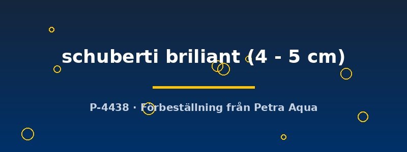 petra-ph2-177622 petra-ph2-177622