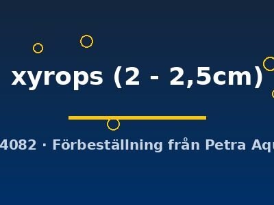 Devario xyrops 2–2,5 cm