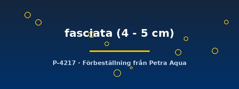 petra-ph2-177746 petra-ph2-177746