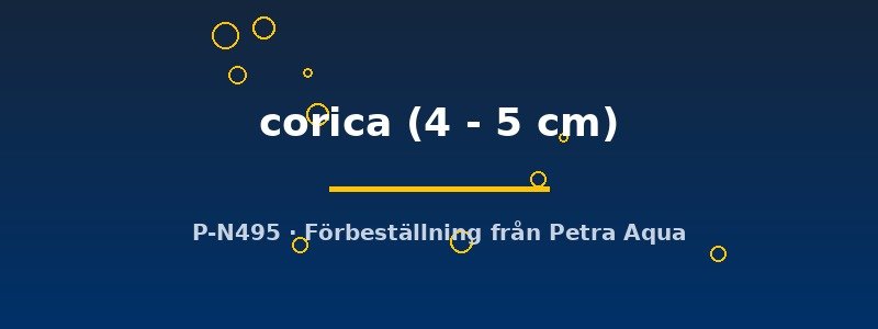 petra-ph2-177754 petra-ph2-177754