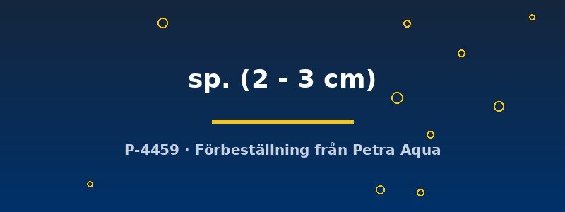 petra-ph2-177764 petra-ph2-177764