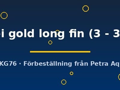 Brachydanio frankei gold long fin 3–3,5 cm