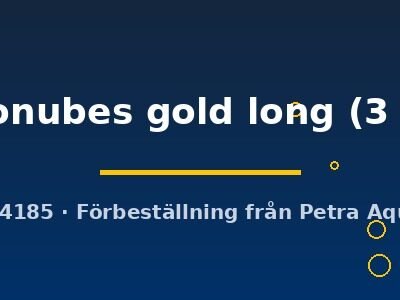 White clouds gold long fin (Tanichthys albonubes gold long) 3 cm
