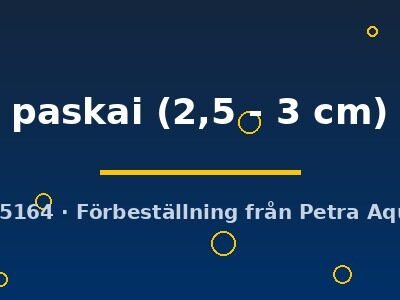 paskai (2,5 - 3 cm)
