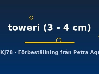 toweri (3 - 4 cm)