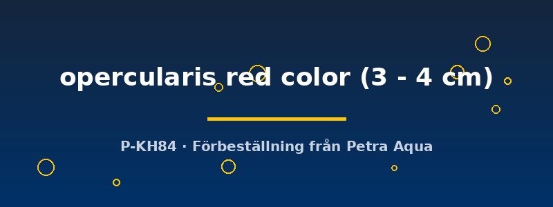 petra-ph2-178119 petra-ph2-178119
