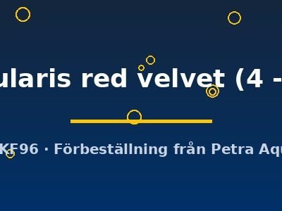 opercularis red velvet (4 - 5 cm)
