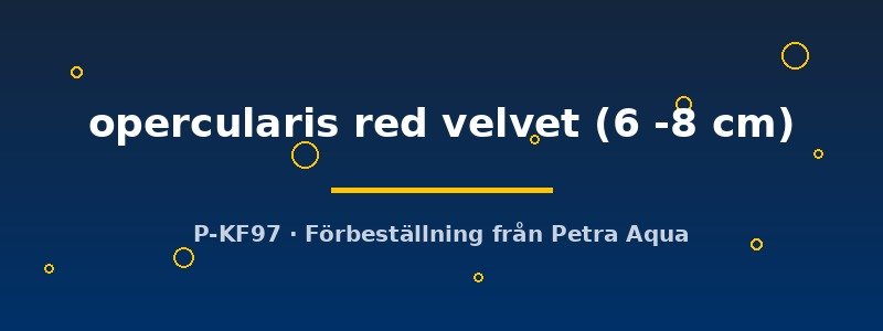 petra-ph2-178122 petra-ph2-178122