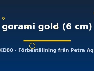 gorami gold (6 cm)