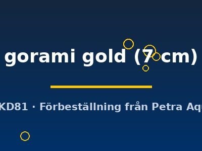 gorami gold (7 cm)