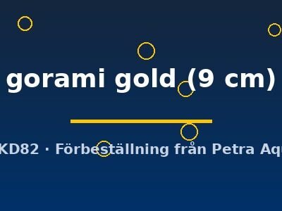 gorami gold (9 cm)