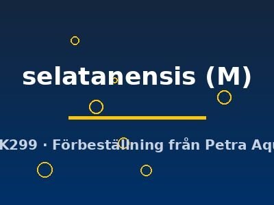 selatanensis (M)