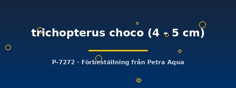 petra-ph2-178163 petra-ph2-178163