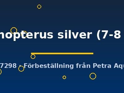 trichopterus silver (7-8 cm)