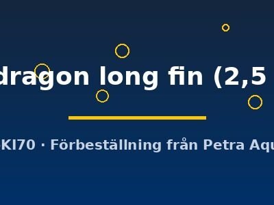 green dragon long fin (2,5 - 3 cm)