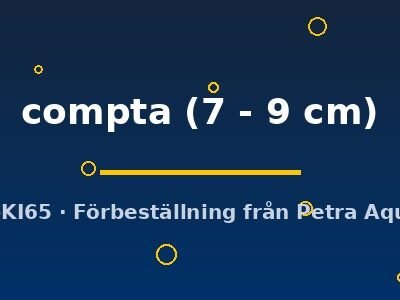 L134 Peckoltia compta 7–9 cm