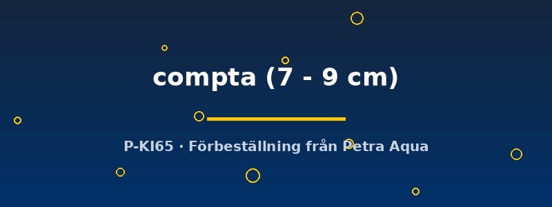 petra-ph2-178221 petra-ph2-178221