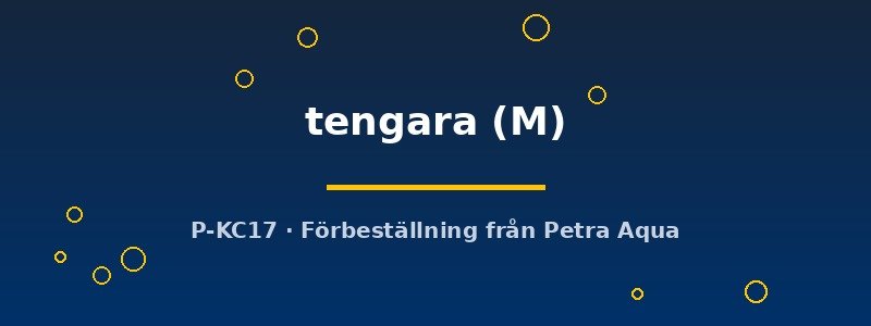 petra-ph2-178222 petra-ph2-178222