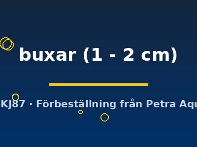 buxar (1 - 2 cm)