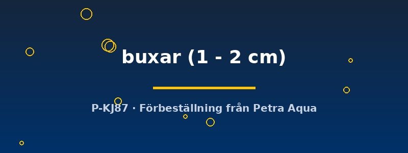 petra-ph2-178235 petra-ph2-178235