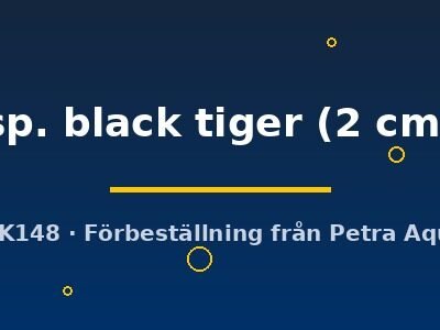 sp. black tiger (2 cm)