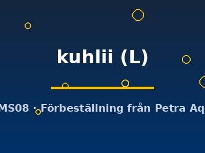 kuhlii (L)