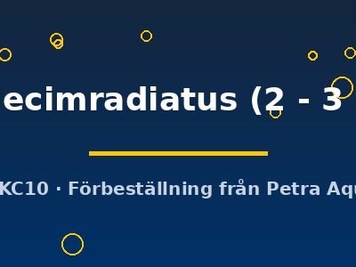 undecimradiatus (2 - 3 cm)