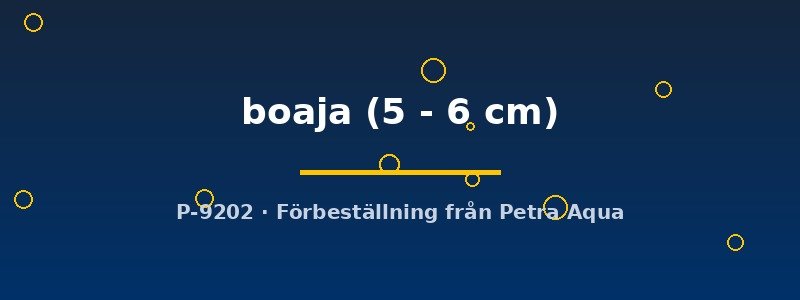 petra-ph2-178317 Doryichtys boaja 5–6 cm