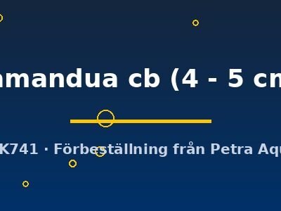 tamandua cb (4 - 5 cm)